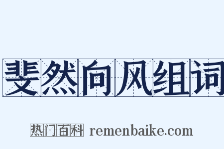 斐然向风组词是什么意思的图片